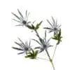 A close up of some purple flowers on a white background