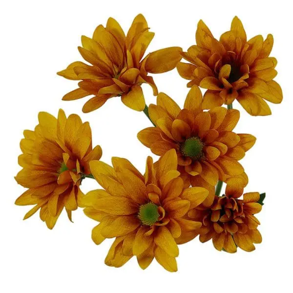 A group of yellow flowers sitting on top of a table.