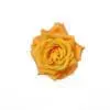 A yellow rose is shown on the white background.