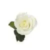 A white rose with green leaves on it.