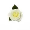 A white rose with green leaves on top of it.