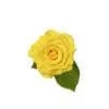 A yellow rose with leaves on top of it.