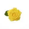 A yellow rose with green leaves on top of it.