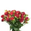 A bouquet of red roses in a vase.