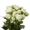 A close up of white roses in a vase