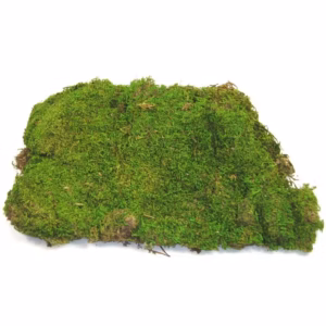 Moss Sheet