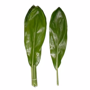 Ti Leaf Green