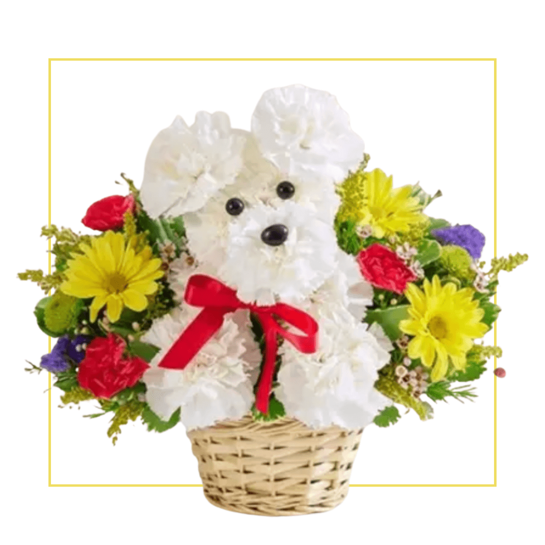 White carnation puppy floral basket arrangement