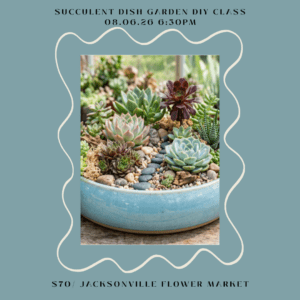 Blue ceramic bowl with mixed succulents