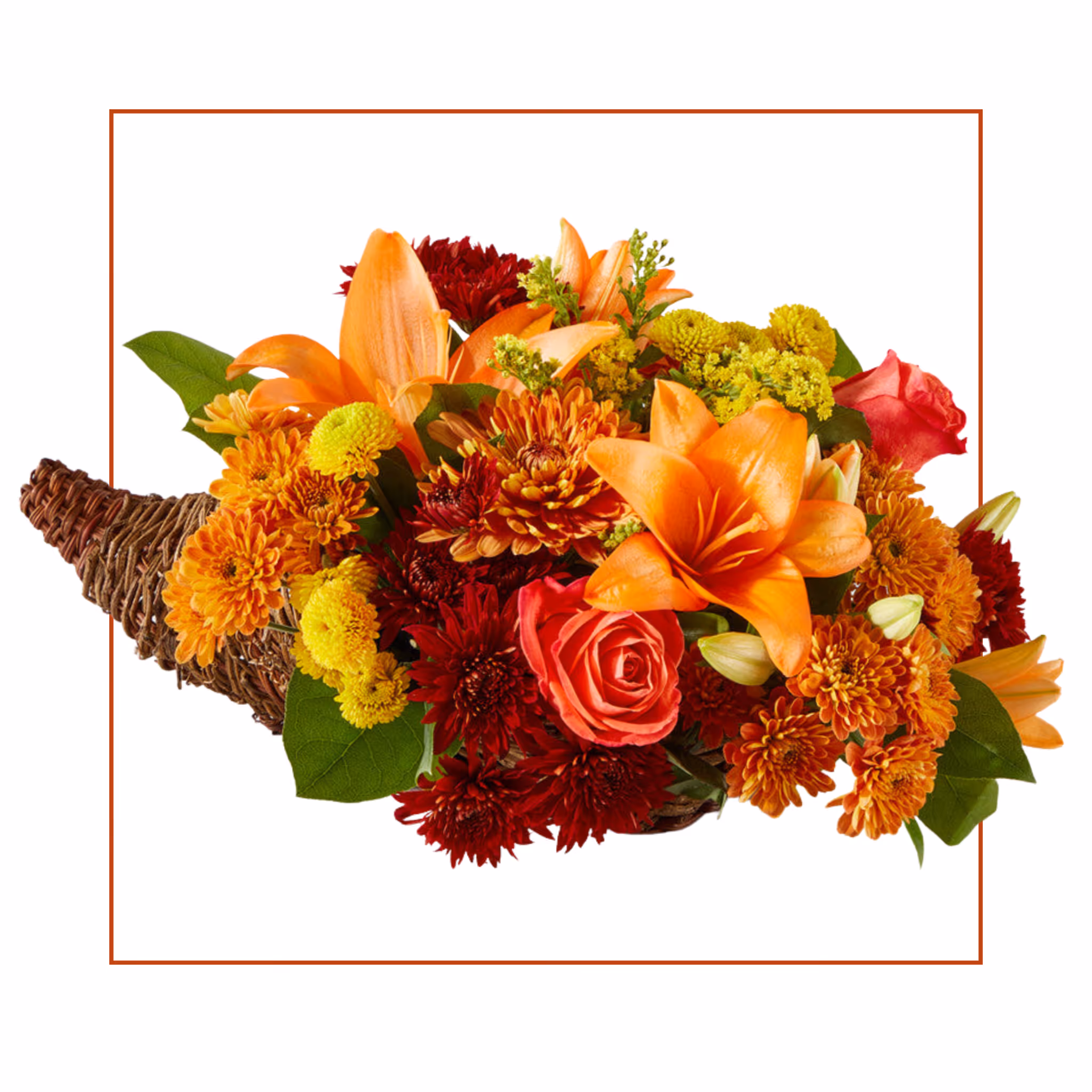Colorful Cornapoia Compressed