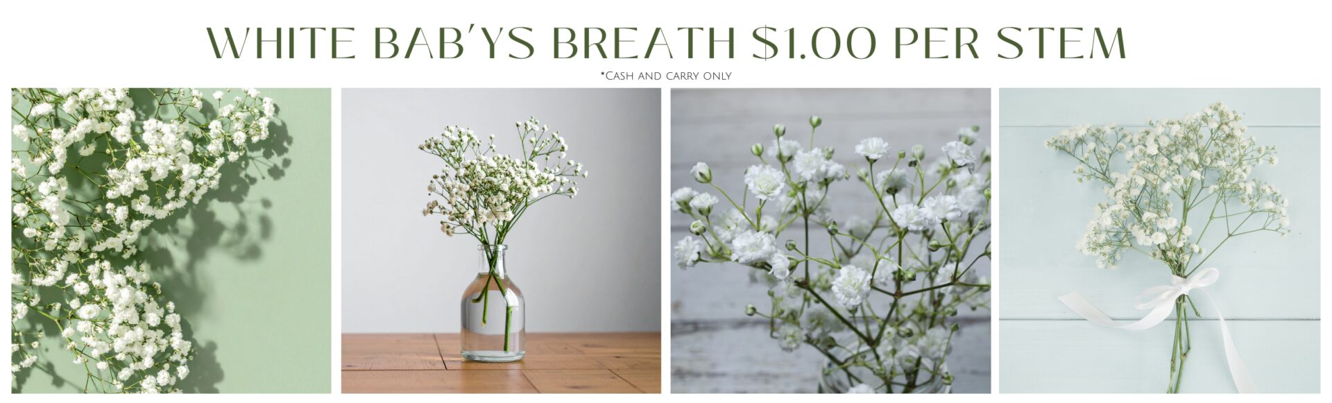 Website Banners (2)